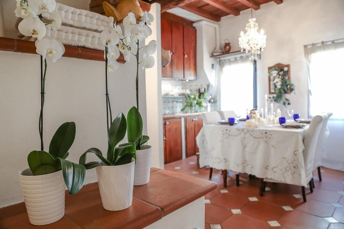 Santa Maria Apartment Florence